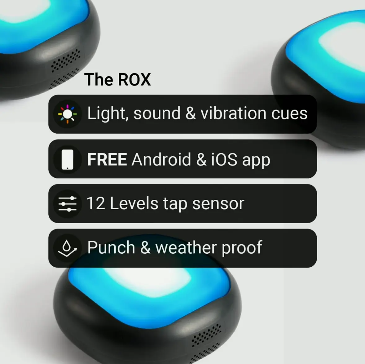 ROX Cognitive Training System